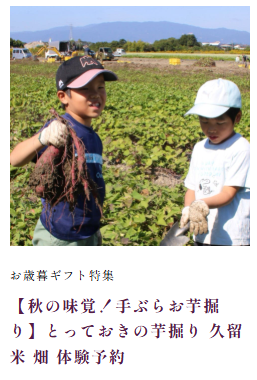 全商品-紅はるか焼き芋お取り寄せ通販専門店-紅茶房-05-02-2025_10_36_PM