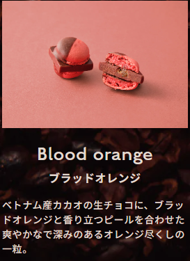 ABOUT-MAMEIL-–-MAMEIL-NAMA-CHOCOLATE-MACARON-マメイル-生チョコレートマカロン専門店-01-12-2026_02_52_PM (3)