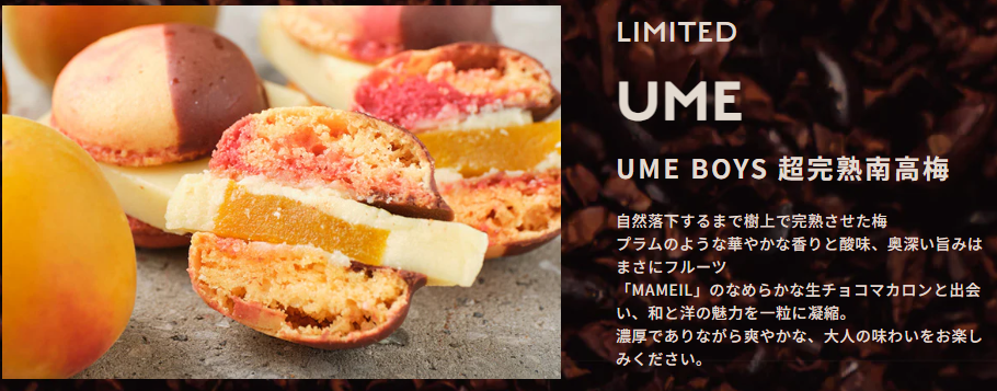 Chocolate-超完熟南高梅-（6個入）-–-MAMEIL-NAMA-CHOCOLATE-MACARON-マメイル-生チョコレートマカロン専門店-01-12-2026_02_53_PM